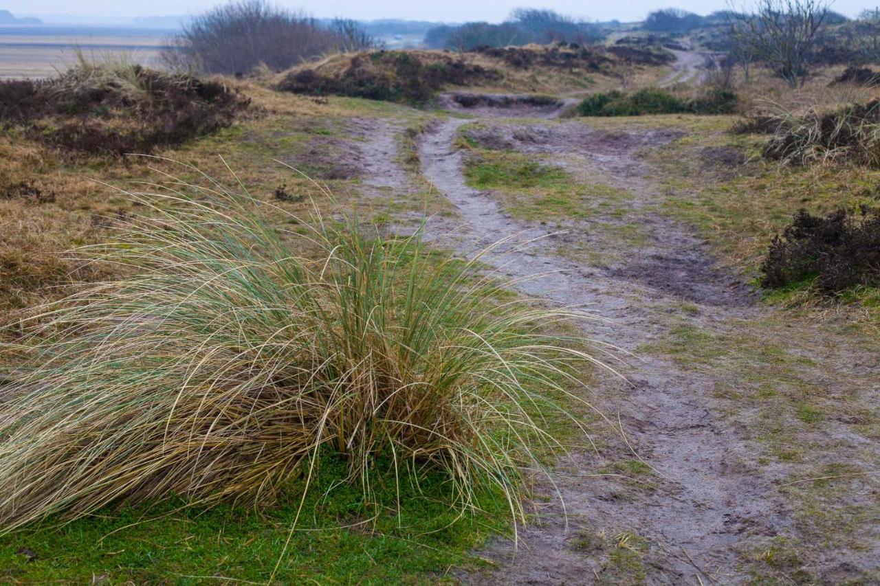 Vakantiehuisje Schelp 5 Personen - Zeezand Recreatie Stolpen Exteriör bild