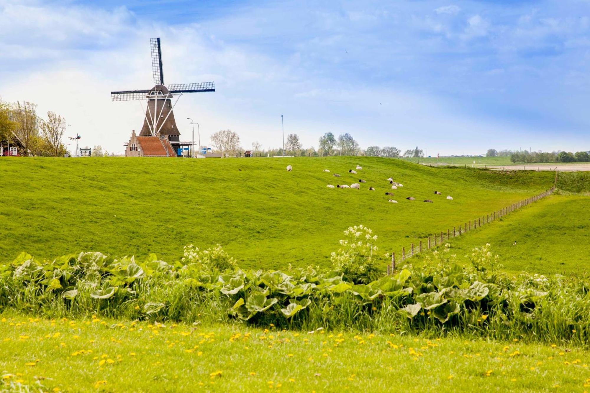Vakantiehuisje Schelp 5 Personen - Zeezand Recreatie Stolpen Exteriör bild