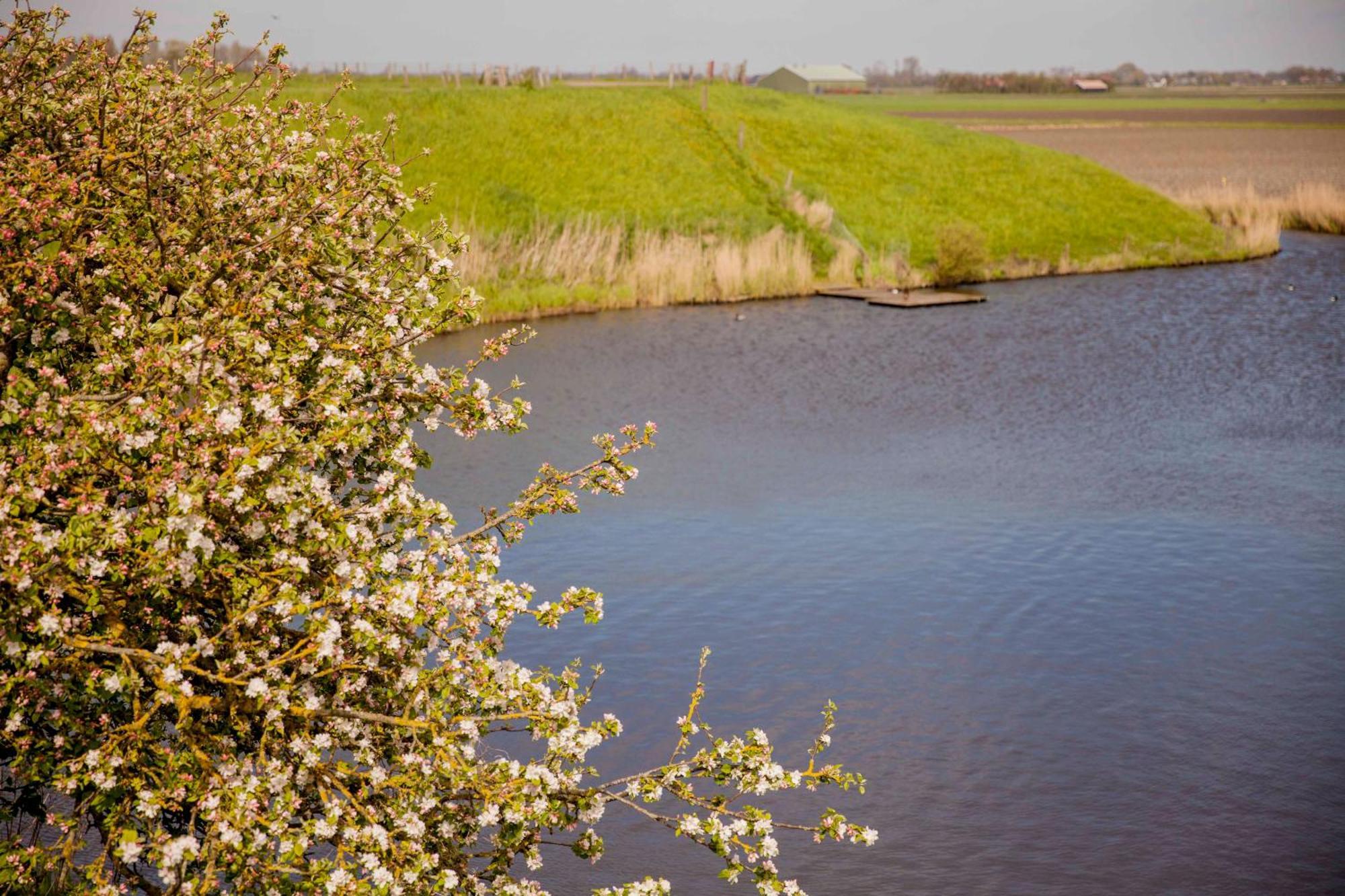 Vakantiehuisje Schelp 5 Personen - Zeezand Recreatie Stolpen Exteriör bild